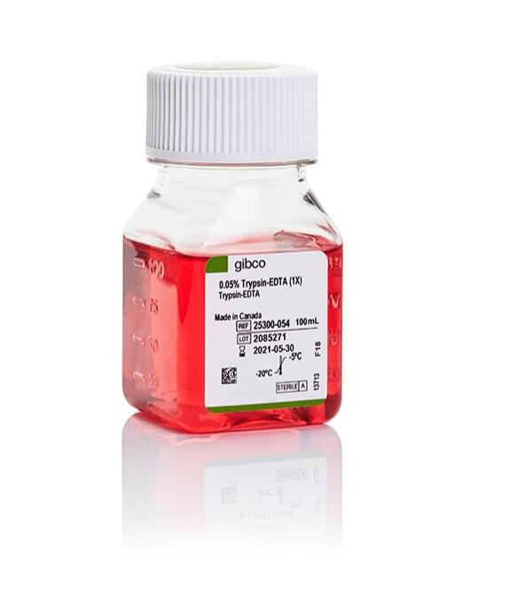 Trypsin-EDTA (0.05%), phenol red