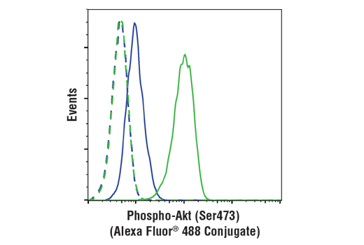 Phospho-Akt (Ser473) (D9E) XP Rabbit mAb (Alexa Fluor 488 Conjugate)