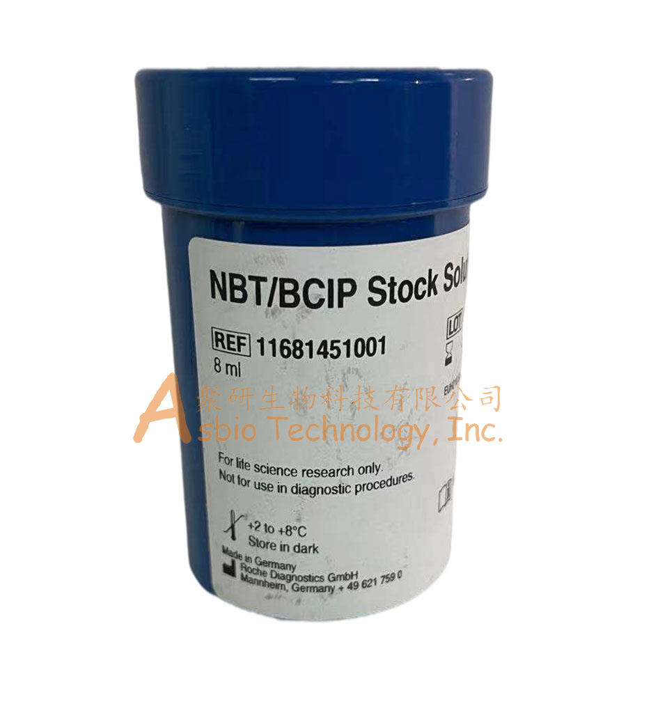 NBT/BCIP Stock Solution