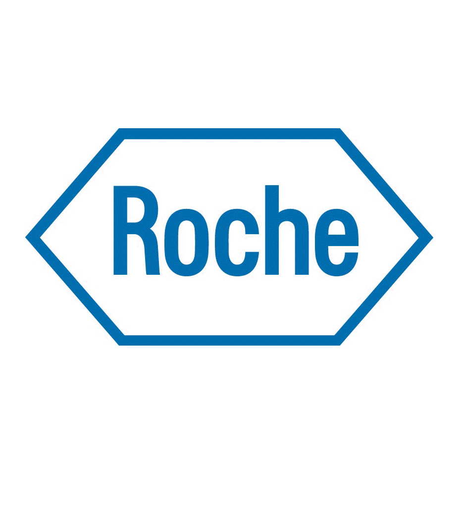 FastStart Universal Probe Master (Rox)