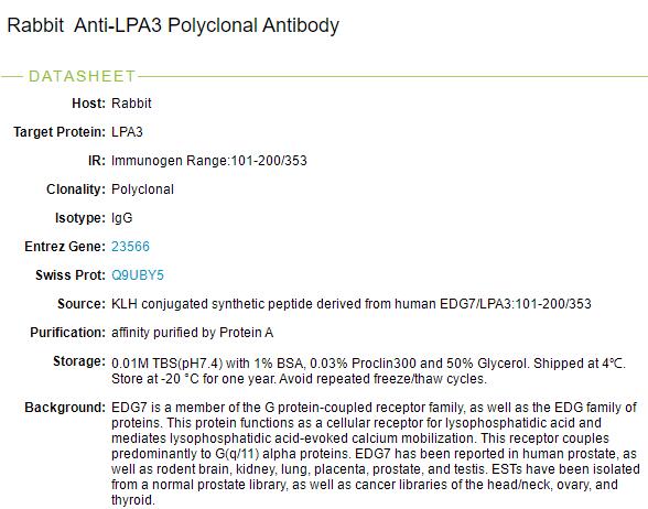 溶血磷脂酸受体蛋白3/EDG7抗体