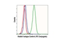 Rabbit (DA1E) mAb IgG XP Isotype Control (PE Conjugate)