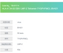 HLA-A*24:02 EBV LMP-2 Tetramer-TYGPVFMCL-BV421
