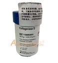 Collagenase D